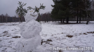 zima 2019 - po puszczy kampinoskiej - wokół opalenia