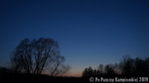 złote godziny - zachód słońca - po puszczy kampinoskiej - wokół opalenia - niebieskie godziny
